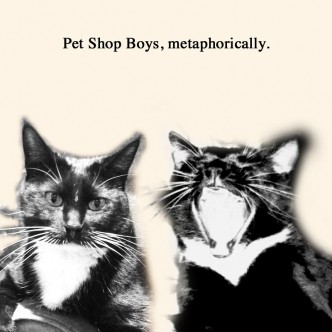 Pet Shop Boys, metaphorically.