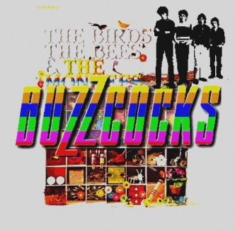 The Birds, The Bees and the Buzzcocks