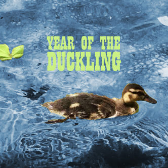 year of the duckling mix cover art